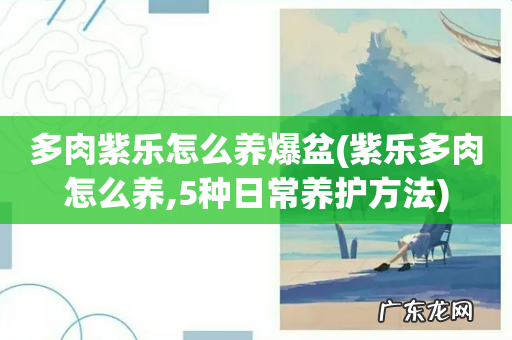 紫乐多肉怎么养,5种日常养护方法 多肉紫乐怎么养爆盆