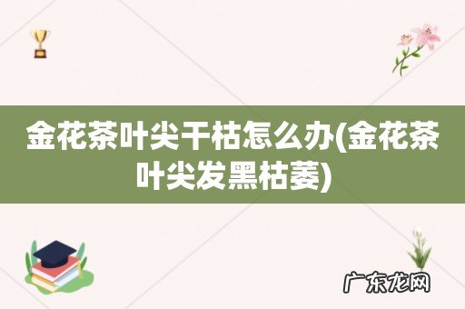 金花茶叶尖发黑枯萎 金花茶叶尖干枯怎么办