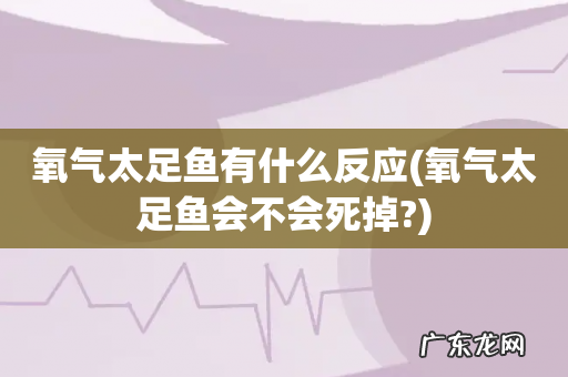 氧气太足鱼会不会死掉? 氧气太足鱼有什么反应