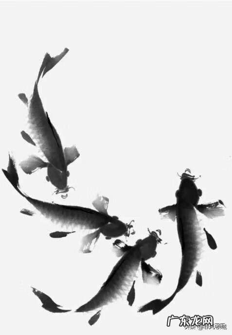 鱼纹怎么画 鱼纹图案怎么画