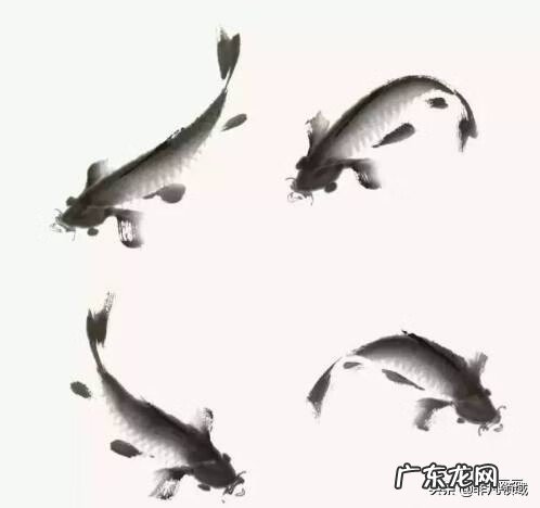 鱼纹怎么画 鱼纹图案怎么画
