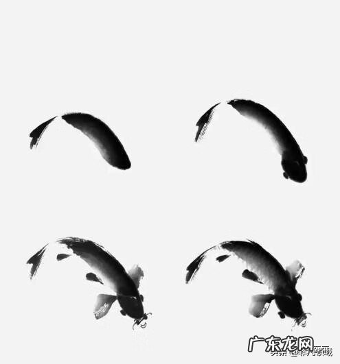 鱼纹怎么画 鱼纹图案怎么画