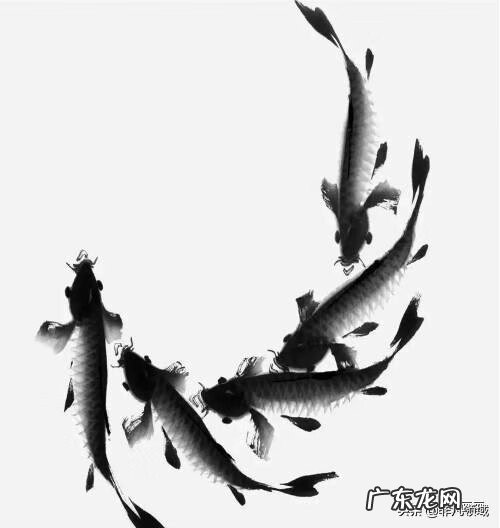 鱼纹怎么画 鱼纹图案怎么画