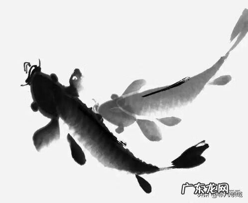 鱼纹怎么画 鱼纹图案怎么画