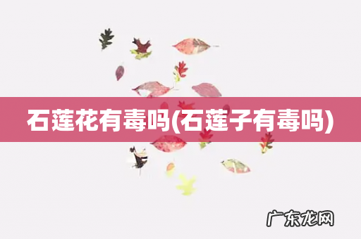 石莲子有毒吗 石莲花有毒吗