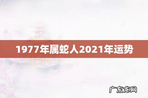 1977年属蛇人2021年运势