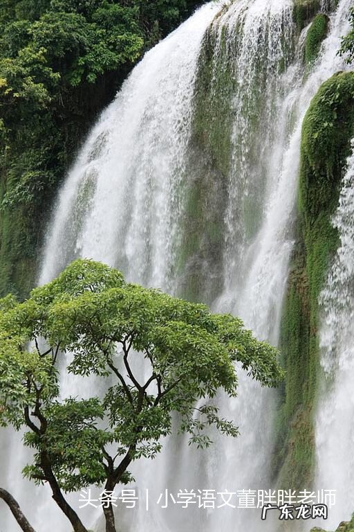 童年作文范文 童年作文开头