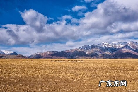 十大风水流派 中国风水的流派