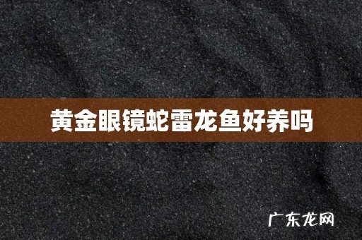 黄金眼镜蛇雷龙鱼好养吗