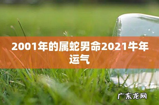 2001年的属蛇男命2021牛年运气