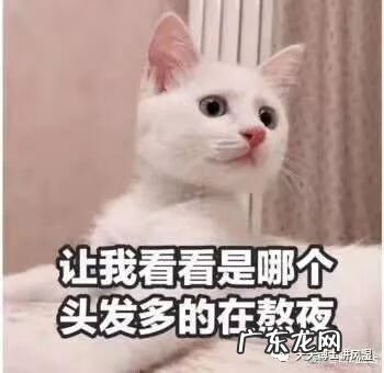 拿生姜擦头皮 生姜擦头皮真的能生发吗