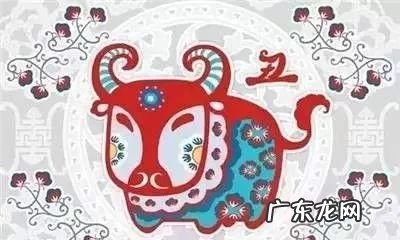 属蛇办公室风水座位图 属蛇人卧室风水布局