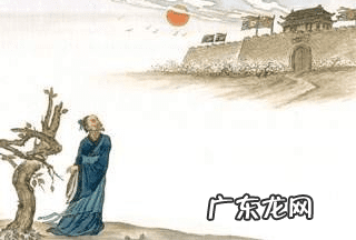 563数字风水 704数字风水