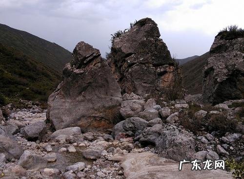 563数字风水 704数字风水