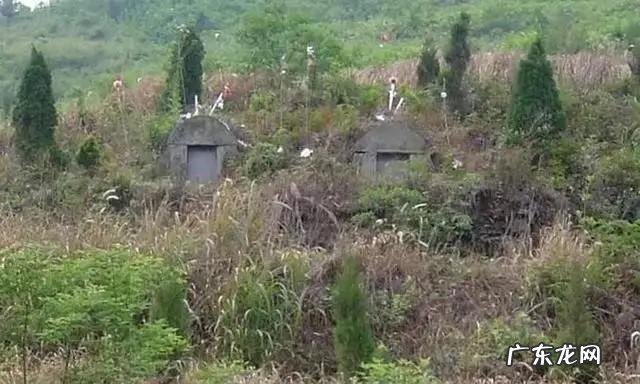 墓在风水的作用是什么