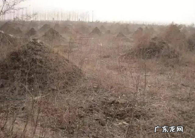 墓在风水的作用是什么