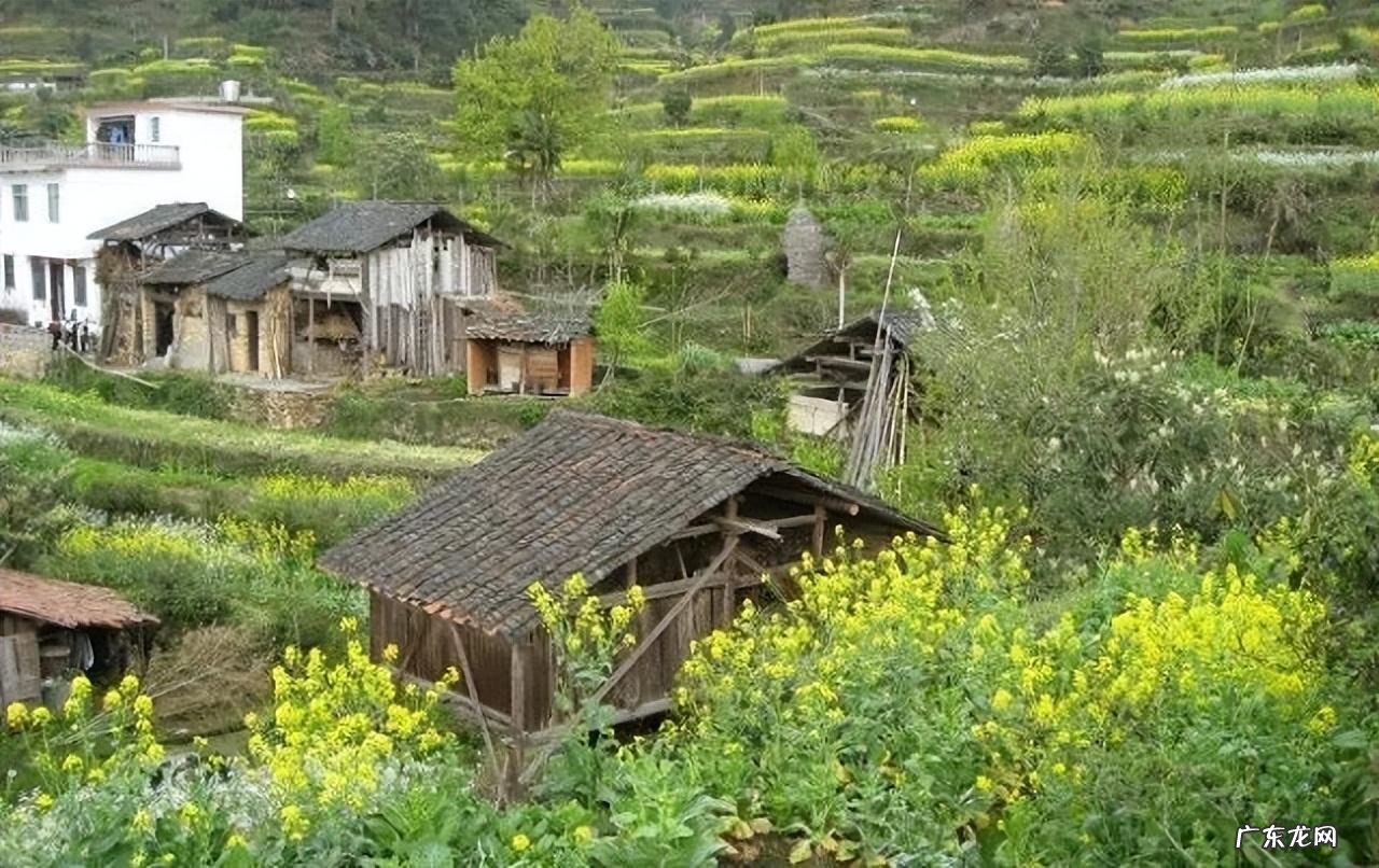 墓在风水的作用是什么