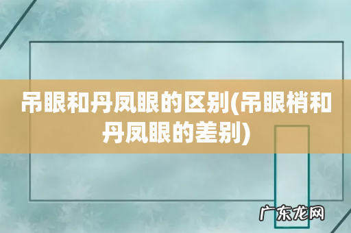 吊眼梢和丹凤眼的差别 吊眼和丹凤眼的区别