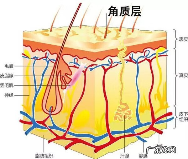 怎么消除脸上红血丝 消除脸上红血丝的方法