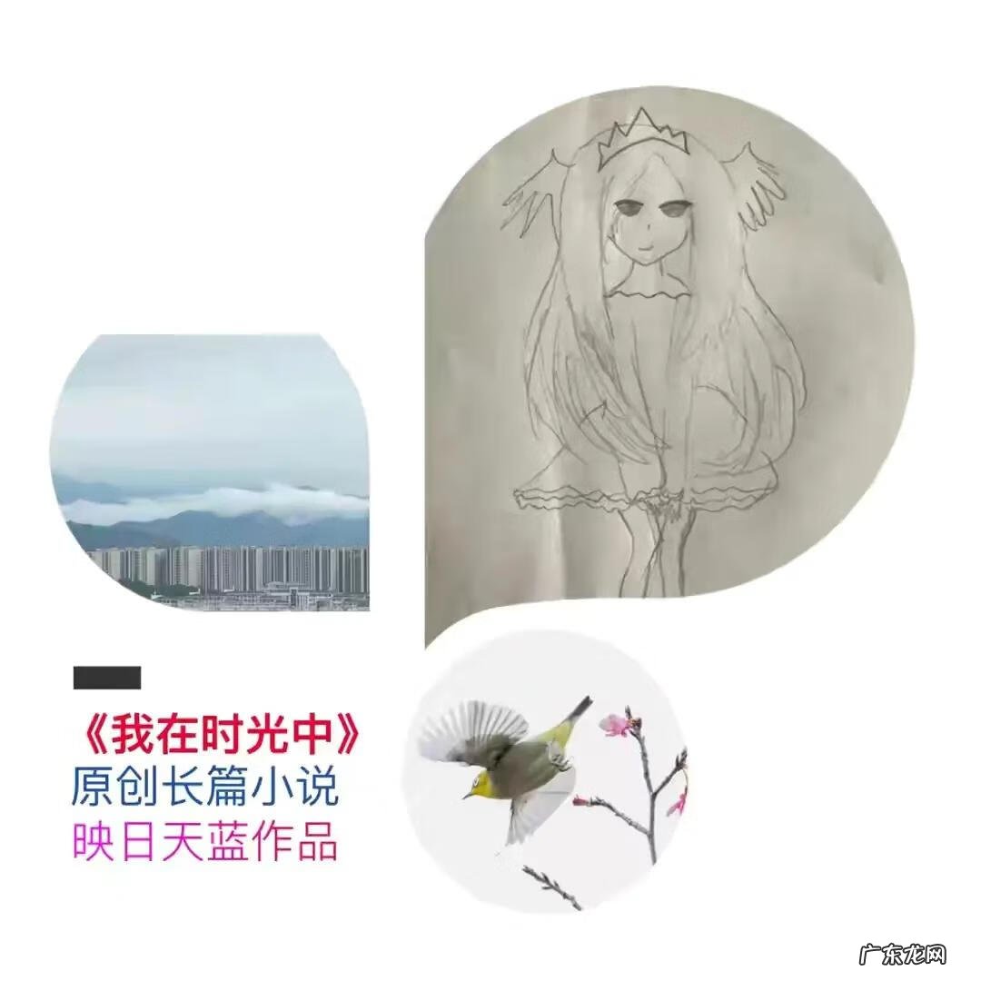 七色花浴用什么花 七朵花风水