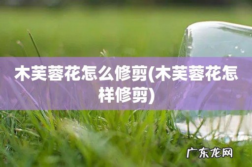 木芙蓉花怎样修剪 木芙蓉花怎么修剪