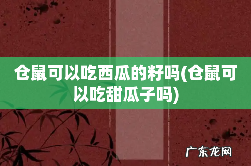仓鼠可以吃甜瓜子吗 仓鼠可以吃西瓜的籽吗