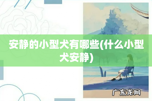 什么小型犬安静 安静的小型犬有哪些