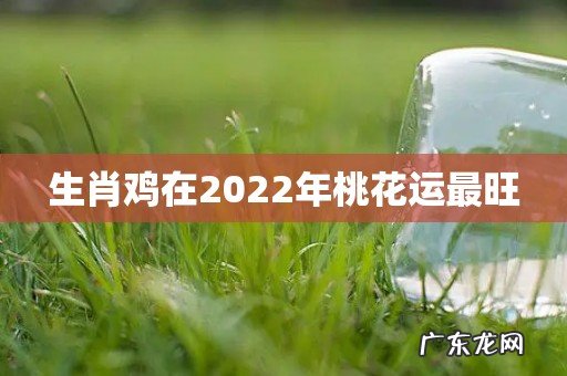 生肖鸡在2022年桃花运最旺