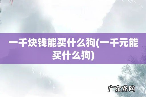 一千元能买什么狗 一千块钱能买什么狗