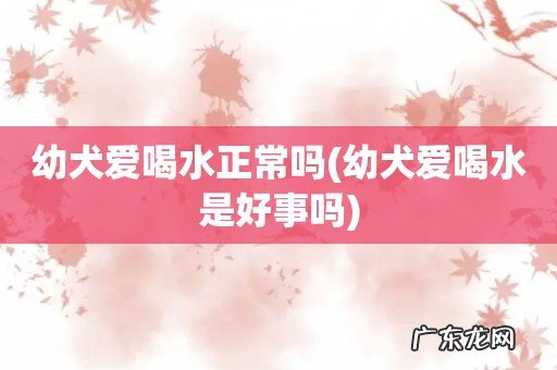 幼犬爱喝水是好事吗 幼犬爱喝水正常吗