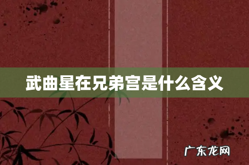 武曲星在兄弟宫是什么含义