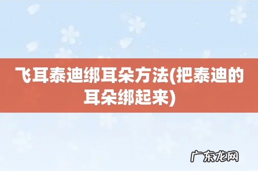 把泰迪的耳朵绑起来 飞耳泰迪绑耳朵方法