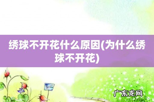 为什么绣球不开花 绣球不开花什么原因