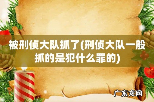 刑侦大队一般抓的是犯什么罪的 被刑侦大队抓了