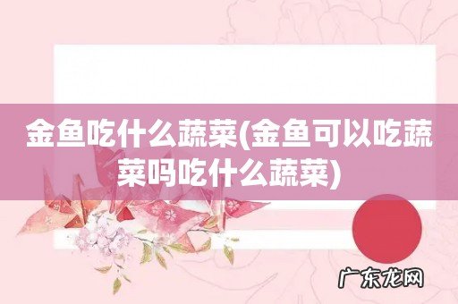 金鱼可以吃蔬菜吗吃什么蔬菜 金鱼吃什么蔬菜