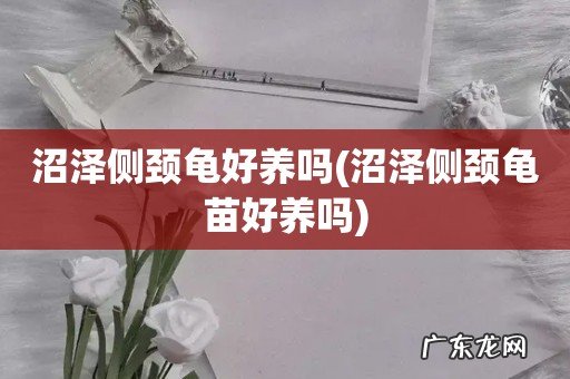 沼泽侧颈龟苗好养吗 沼泽侧颈龟好养吗