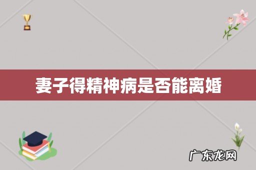 妻子得精神病是否能离婚