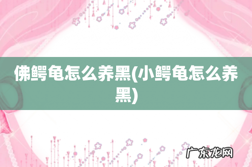小鳄龟怎么养黑 佛鳄龟怎么养黑