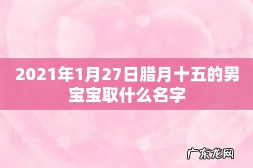 2021年1月27日腊月十五的男宝宝取什么名字