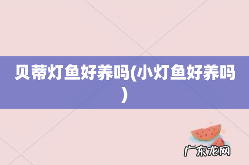 小灯鱼好养吗 贝蒂灯鱼好养吗