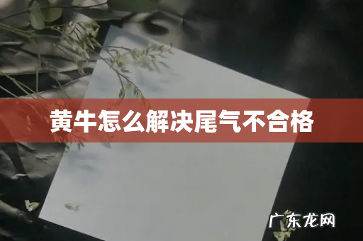 黄牛怎么解决尾气不合格