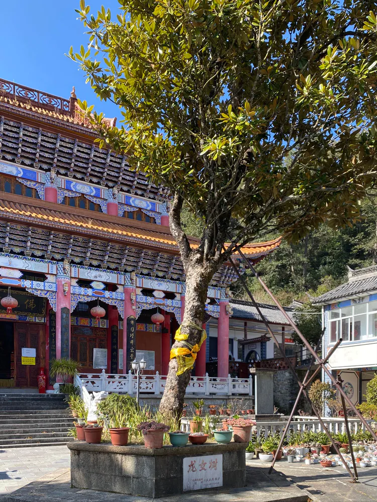 风水大师电话联系方式 大理正宗风水哪家好