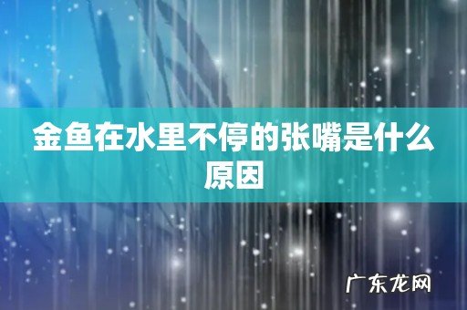 金鱼在水里不停的张嘴是什么原因