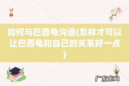 怎样才可以让巴西龟和自己的关系好一点 如何与巴西龟沟通
