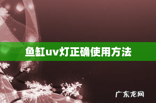 鱼缸uv灯正确使用方法