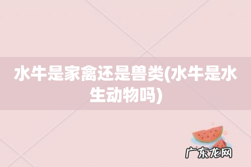 水牛是水生动物吗 水牛是家禽还是兽类