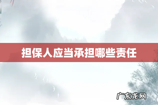 担保人应当承担哪些责任