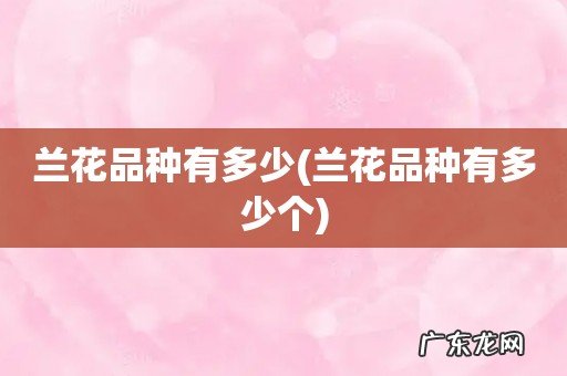 兰花品种有多少个 兰花品种有多少