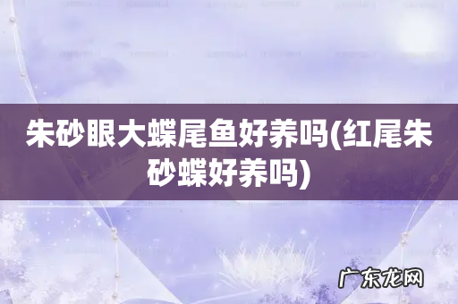 红尾朱砂蝶好养吗 朱砂眼大蝶尾鱼好养吗