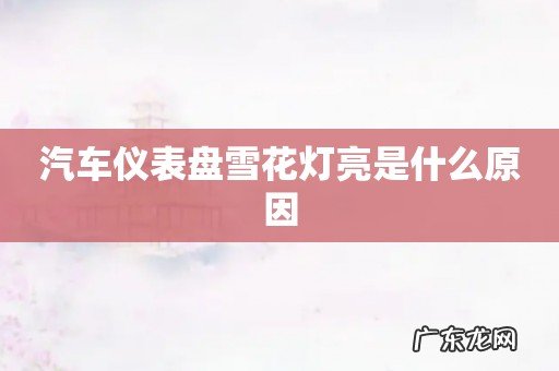 汽车仪表盘雪花灯亮是什么原因